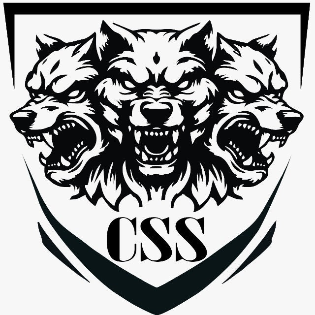 CSS HOLDING SRL